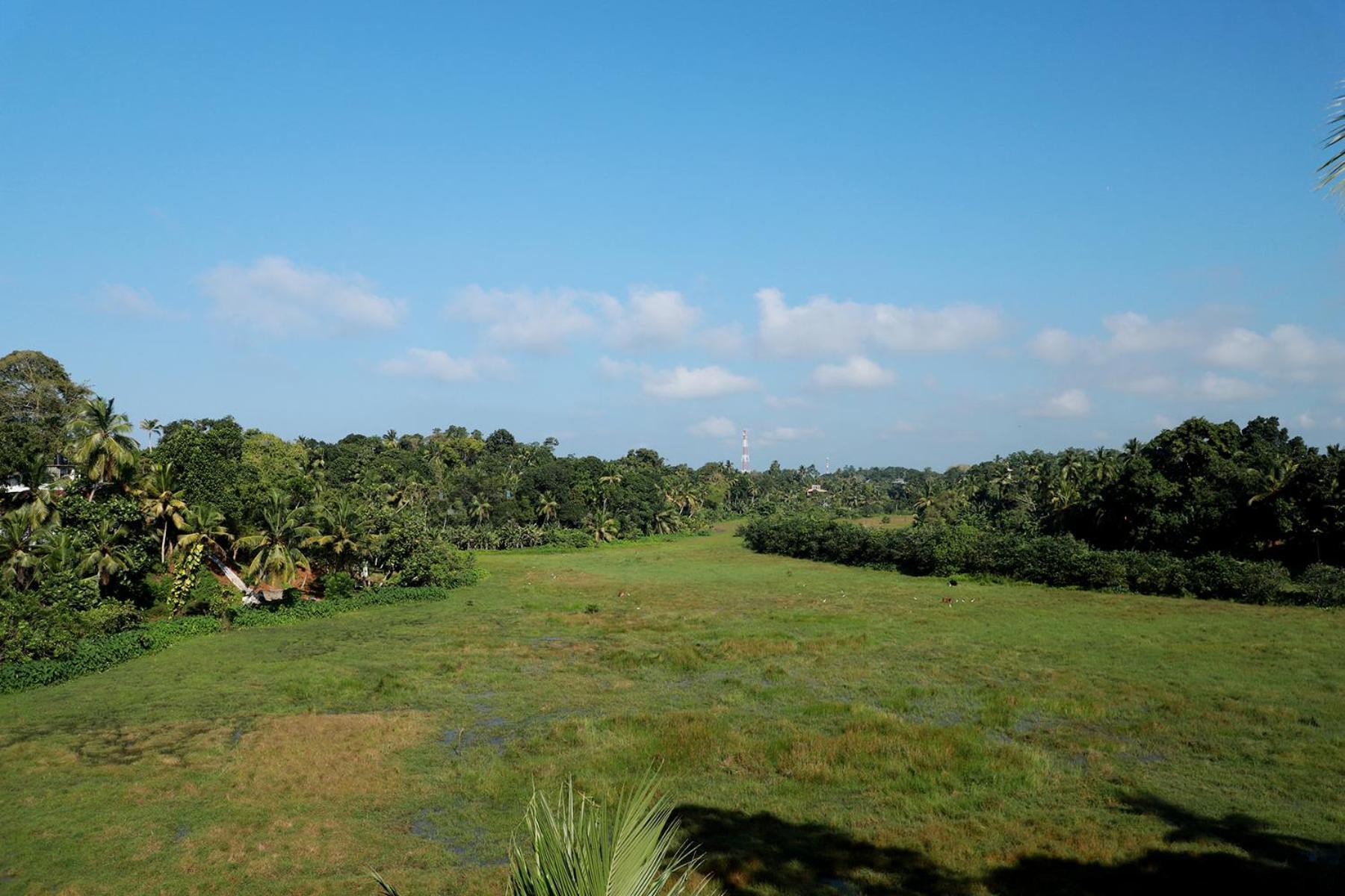 Green Edge Villa Hikkaduwa Dış mekan fotoğraf